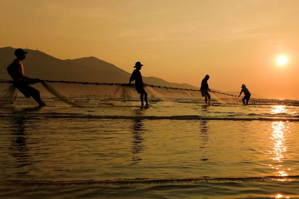Làng Chài Mân Thái Đà Nẵng: Khám Phá Nhịp Sống Ngư Dân